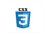 CSS expertse