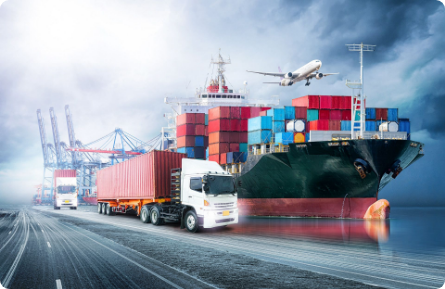 Logistic software