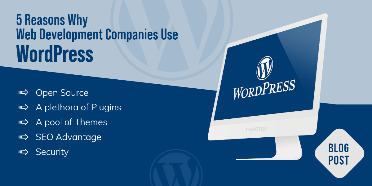 5-Reasons-Why-Web-Development-Companies-Use-WordPress-1.png