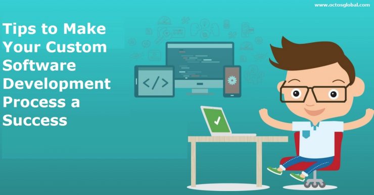 custom-software-development-740x387.jpg
